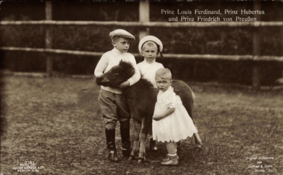 Postcard Prince Louis Ferdinand of Prussia, Prince Hubertus, Prince Friedrich, Pony