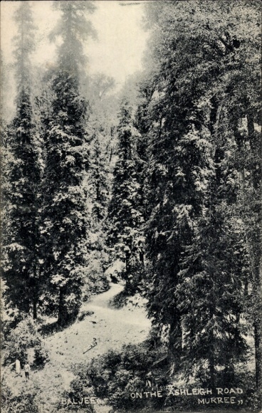 KP Murree Pakistan, na Ashleigh Road