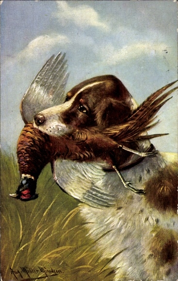 Artist Postcard Müller, M., Hunting dog with killed pheasant