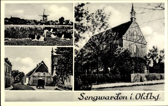 Postcard Sengwarden Wilhelmshaven in Lower Saxony, church, windmill, local part, cattle