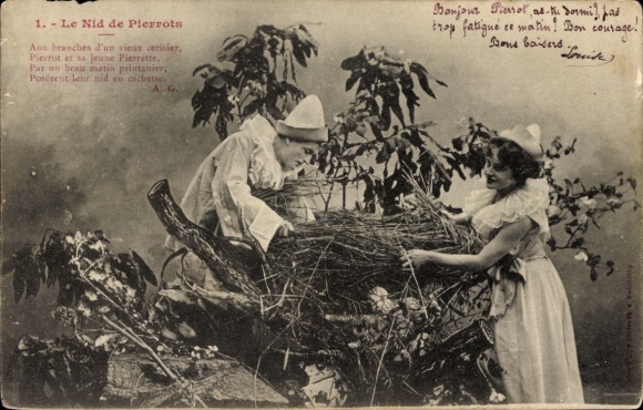 PC Pierrot, nest building, bird's nest