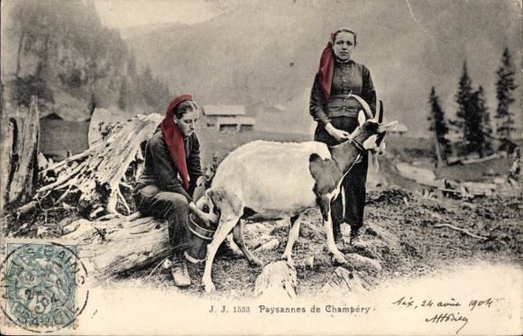 Ak Chambery Savoie, Twee vrouwen in traditionele kledij melken een geit.