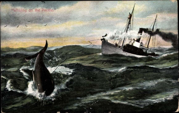 Ak Whaling on the Pacific, Walfangschiff