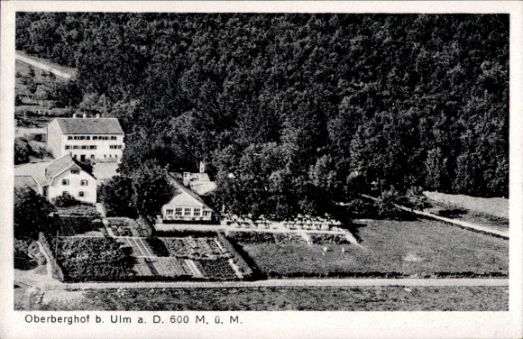 Ak Oberberghof Ulm an der Donau, Landschaftsaufnahme, Oberberghof, Gebäude, Felder, Wald