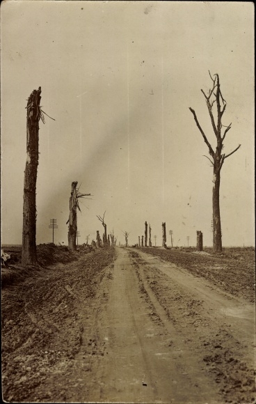 Foto Ak Belgium, bomen vernield onderweg