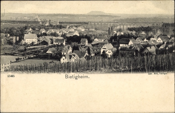 Ansichtkaart Bietigheim in Württemberg, panorama, viaduct