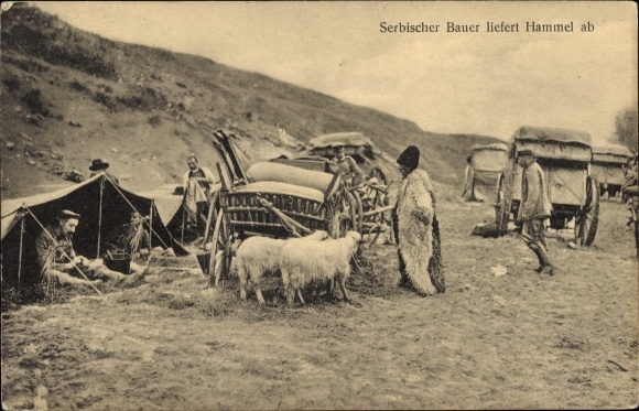 KP Serbia, serbski rolnik dostarcza baraninę, niemieccy żołnierze w mundurach, I wojna światowa