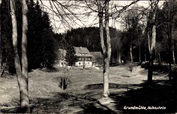 Postcard Hohnstein Saxon Switzerland, Grundmühle, forest, river,