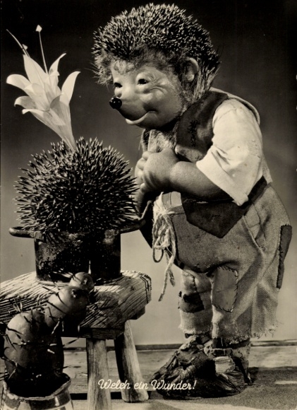 Postcard Mecki the Hedgehog, What a Miracle, Blooming Cactus