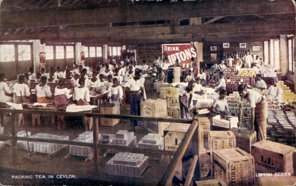 Postcard Sri Lanka Ceylon, people packing tea, boxes, Lipton Tea