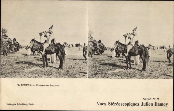 Stereo Postcard Biskra Algerian, Falcon Hunting, Damoy