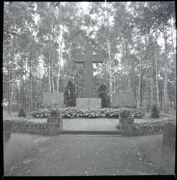 8 celluloid negatives Dauelsen Verden on the Aller, forest, cemetery, economy