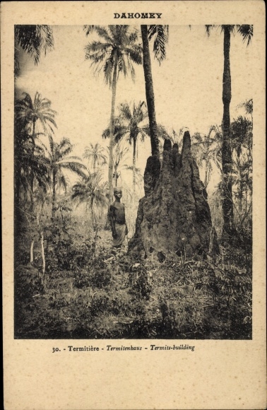 Postcard Dahomey Benin, Termitiere