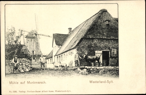 Ak Munkmarsch Sylt in Noord-Friesland, windmolen, boerderij