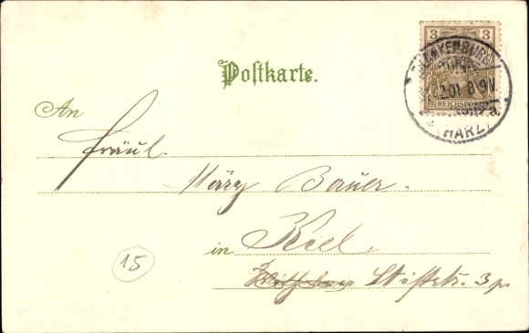 Passepartout Postcard Blankenburg am Harz, castle, church, field flowers, poppies, cornflowers