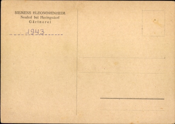 Postcard Neuhof Ostseebad Heringsdorf on Usedom, landscape with trees, fields, ox, people, garden