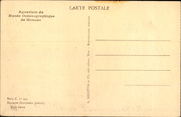 Postcard Monaco, Aquarium du Musee Oceanographique, Rascasse, Scorpaena porcus