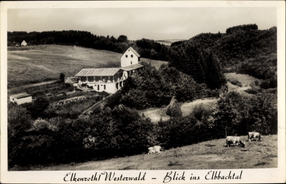 Postcard Elkenroth in the Westerwald, view of the Elbbachtal, cattle, department store Hüsch