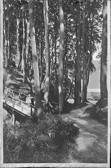 17 Negative Timmendorfer Strand, Dampfer, Strand, Promenade, Allee