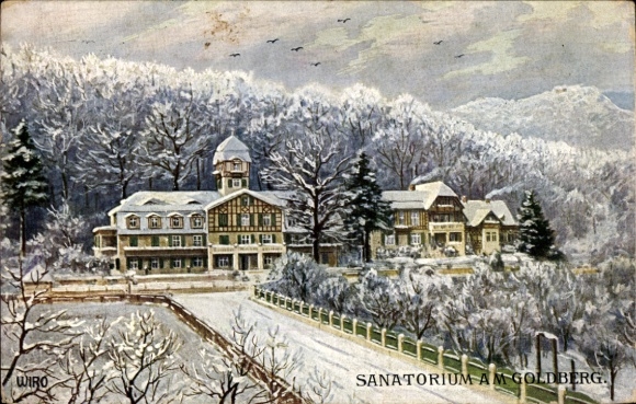 Künstler Ak Bad Blankenburg im Kreis Saalfeld Rudolstadt, Sanatorium am Goldberg, WIRO Nr. 2493