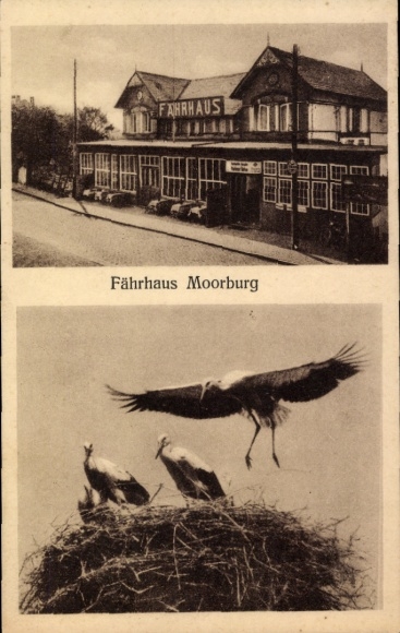 Ak Hamburg Harburg Moorburg, Fährhaus, Storchennest