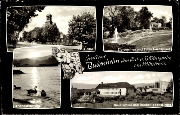 Ansichtkaart Budenheim am Rhein, boomgaard en bloesemtuin, Ev. Kerk, sierfontein, strandrestaurant, school
