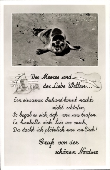 Postcard North Sea Germany, seal on the beach, waves of the sea and love