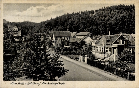 KP Bad Sachsa im Harz, Bad Sachsa (South Harz), Hindenburgstraße, domy, drzewa