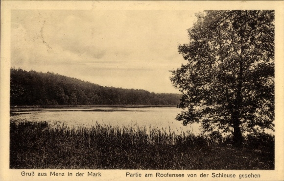 Postcard Menz Stechlin in der Mark, at the Roofensee