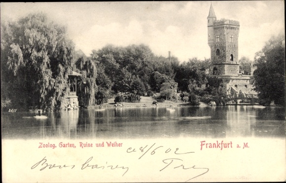 Postcard Frankfurt am Main, Zoological Garden, Ruin, Pond