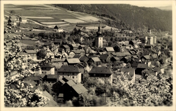 Ak Probstzella in Thüringen, Schwarzwalddorf, historische Gebäude, Fähnchen, ländliche Landschaft