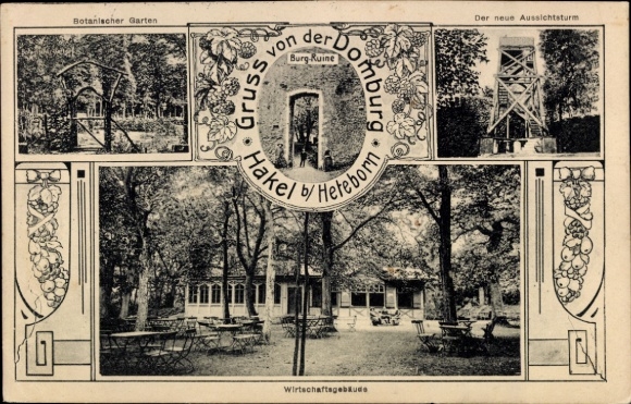 Ak Heteborn Selke Aue in het Harzgebergte, Domburg in het Hakelgebied, Botanische tuin, Kasteelruïne, Uitkijktoren