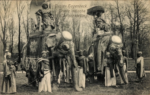 Ak Große indische Völkerschau, Gustav Hagenbeck, Elefanten mit Reitern