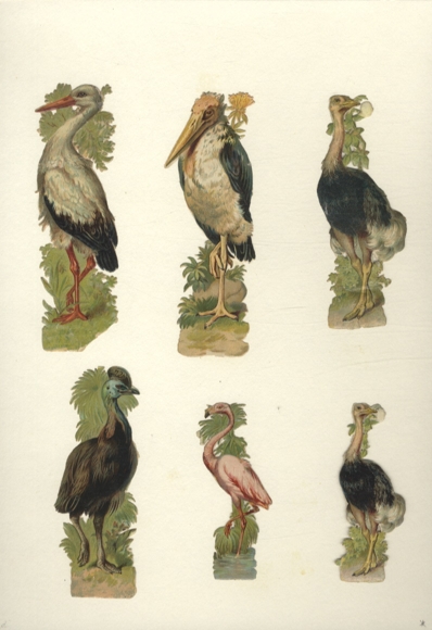 6 Oblaten Großvögel, Storch, Strauße, Flamingo u.a., ca. 12 x 4,5 cm und 8,5 x 3,5 cm