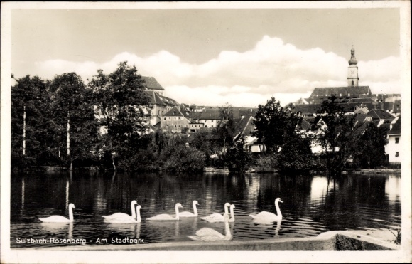 Ak Sulzbach Rosenberg, Partie am Stadtpark, Schwanenteich