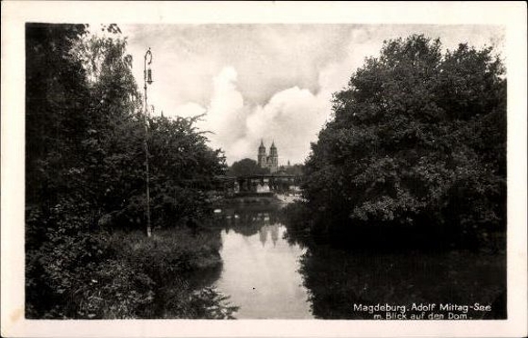 50 Ak Magdeburg Elbe, diverse Ansichten, kleinformatig