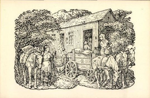 24 PCs in the envelope O Colono No Rio Grande DO Sul, The Farmer, Jose Lutzenberger