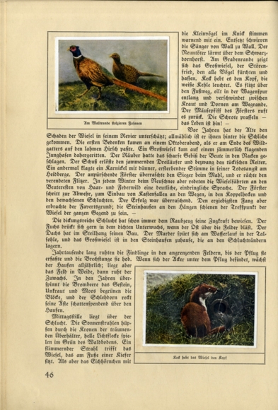 The red one from Ellert (Hans vd Nordmark) collecting picture album Kölln Mühlenwerke, Elmshorn 1934