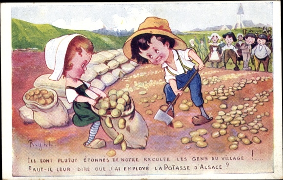 Artist Postcard Right, potato harvest in Alsace, potash fertilizer