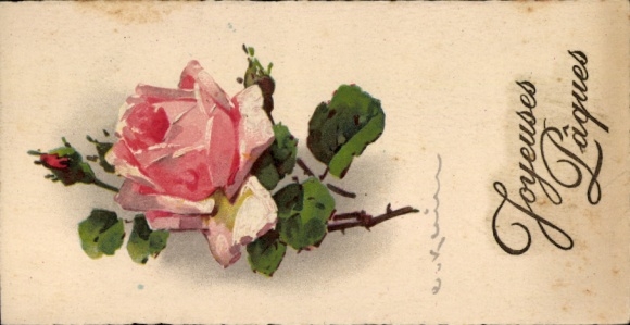 Künstler Ak Klein, C., Glückwunsch Ostern, Blühende Rose, Knospen