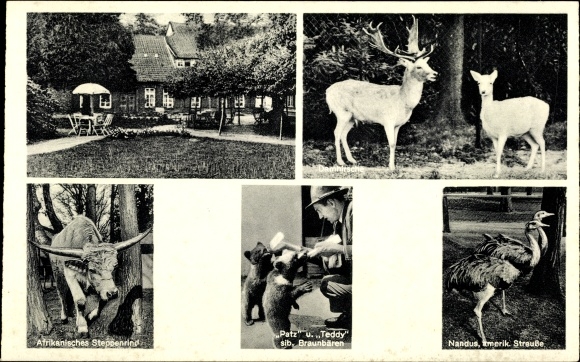 PC Jaderberg Jade in Oldenburg, Jaderberger Tiergarten, bears, ostriches