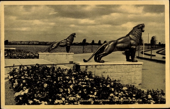 Postcard Hannover in Lower Saxony, lion statues at the Maschsee