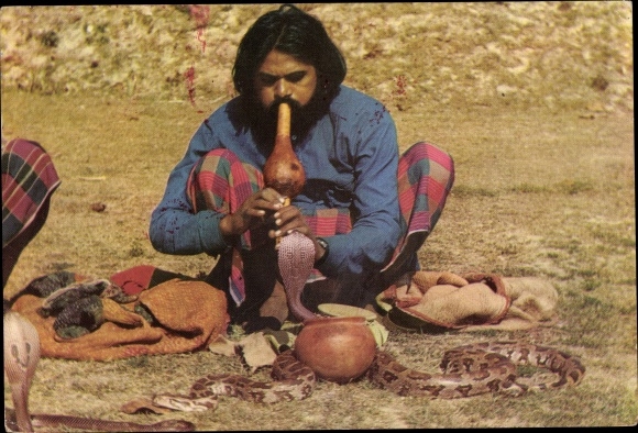 Postcard India, snake charmer