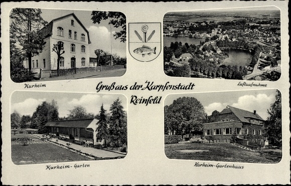 PC Reinfeld in Holstein, Karpfenstadt, Kurheim, garden, summer house, aerial photo