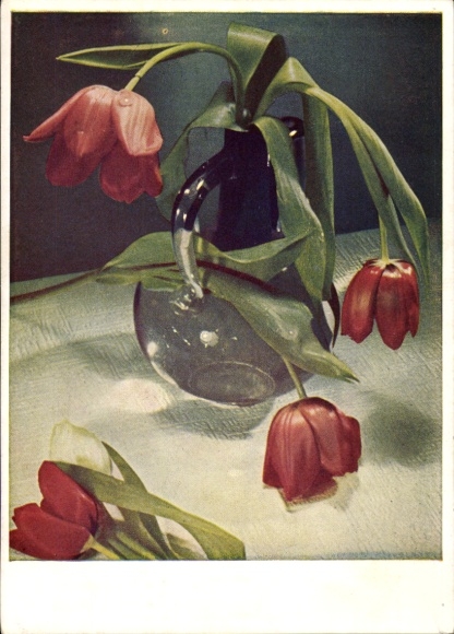 Postcard Tulips in a Vase, Flowers