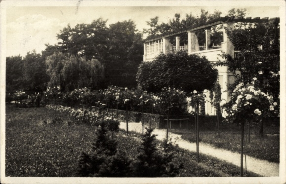 Postcard Saasa Eisenberg in the Saale Holzland district, nurses&#39; convalescent home for the Red Cross