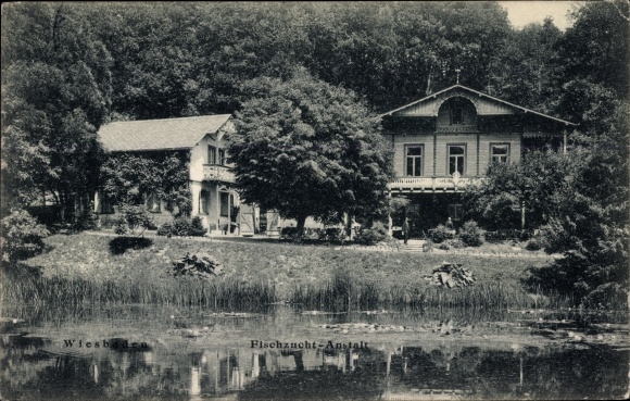 PC Wiesbaden, fish farm, pond