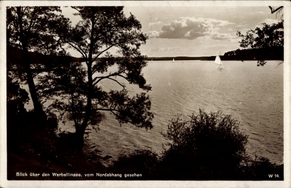 Postcard Altenhof Schorfheide on the Werbellinsee, view over the northern slope
