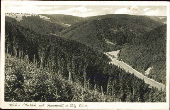 7 old PCs Frauenwald in the Thuringian Forest, various views