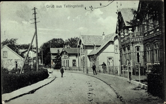 Ak Tellingstedt in Dithmarschen, Straßenpartie